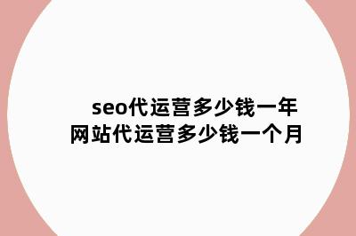 seo代运营多少钱一年 网站代运营多少钱一个月